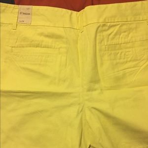 LOFT Riviera Shorts